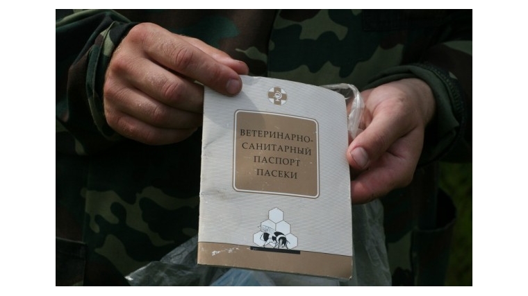 В Янтиковском районе продолжается паспортизация пасек
