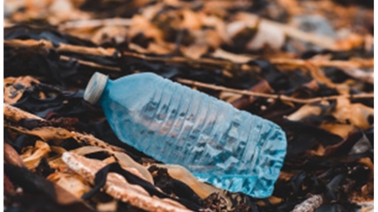 Минприроды России проводит подготовительные мероприятия по отнесению пластиковых отходов к категории «опасных»